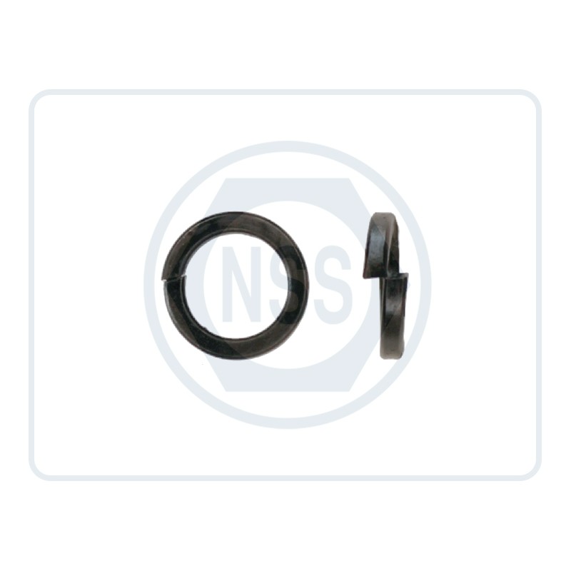 Spring Washers