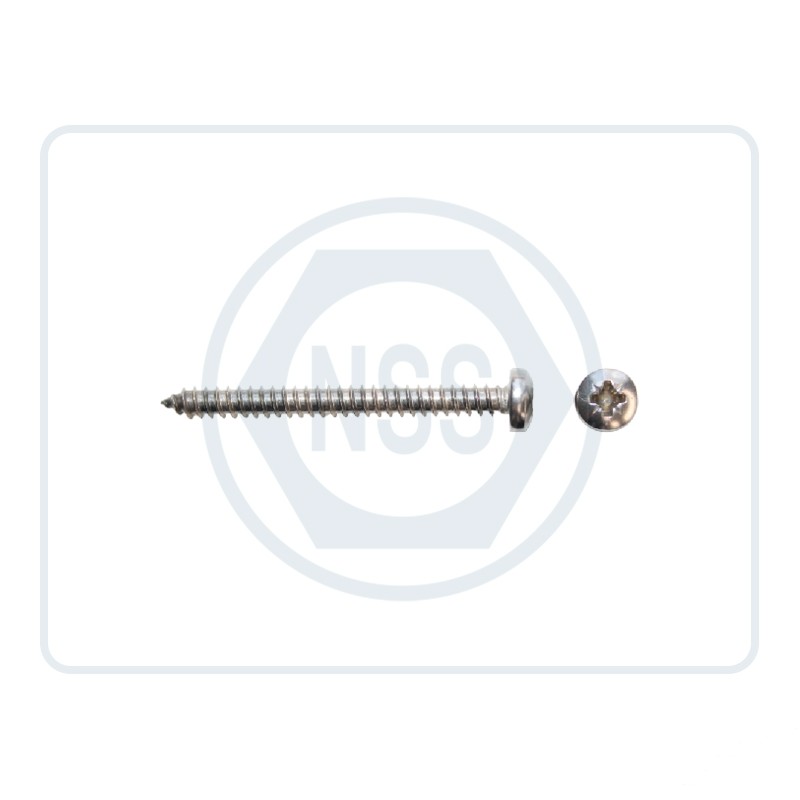 Self Tapping Screws